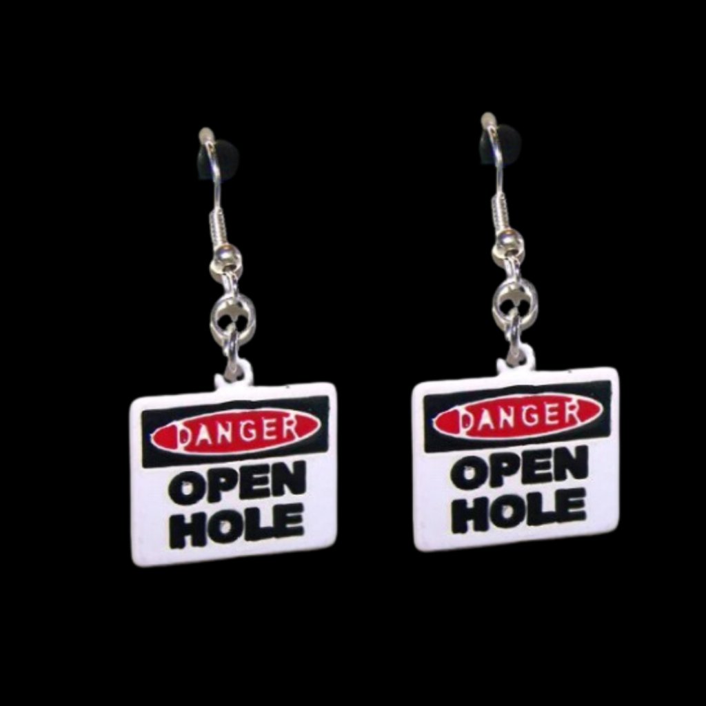 Funny Road Sign Novelty Earrings 14$
